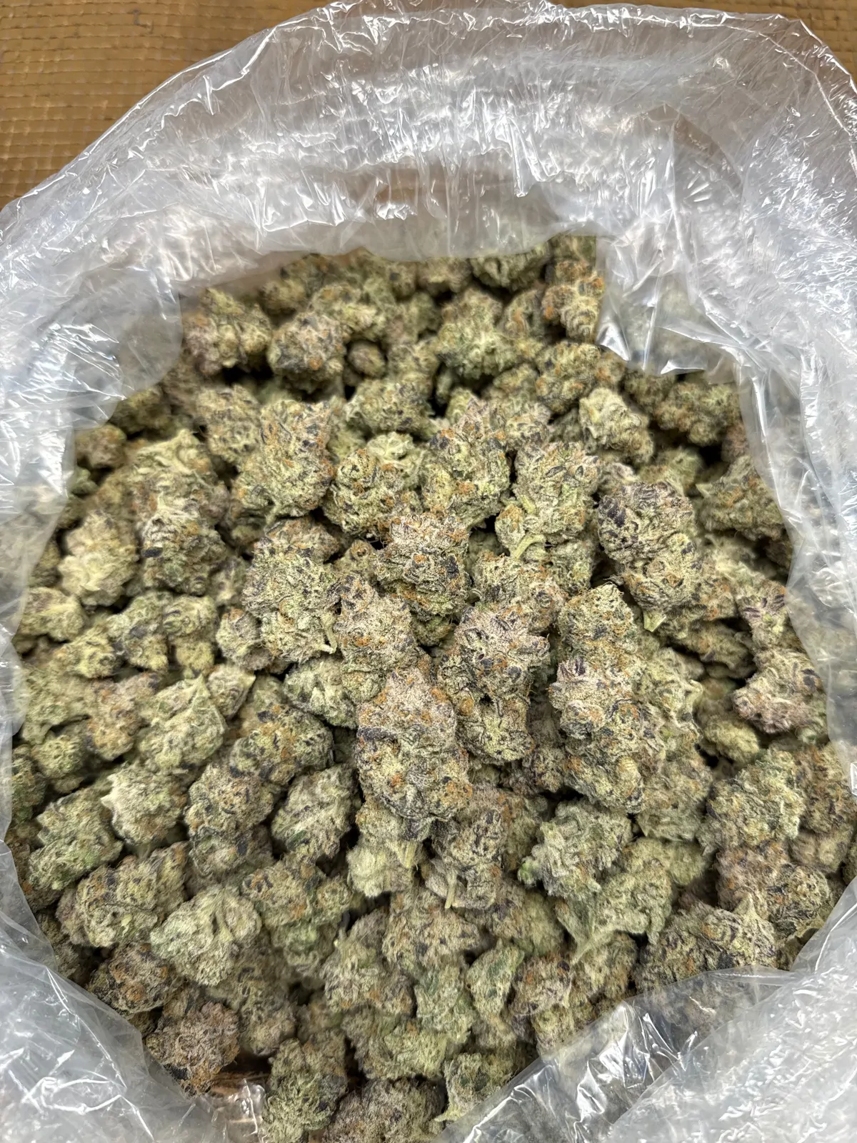 Hawaiian Sno Cone Flower